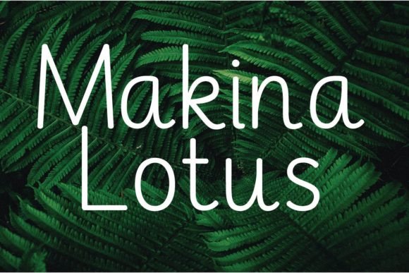 Choosing Makina Lotus for Modern Web Typography