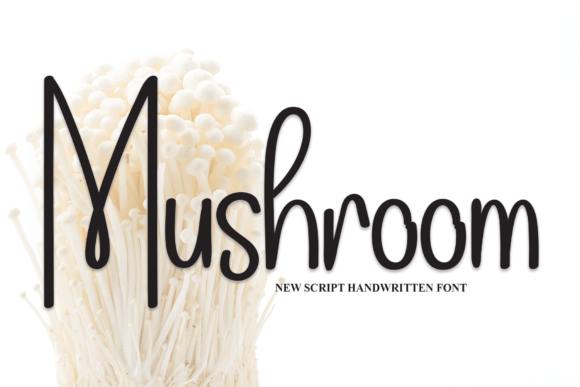 Mushroom: A Designer’s Take on This Quirky Script Font