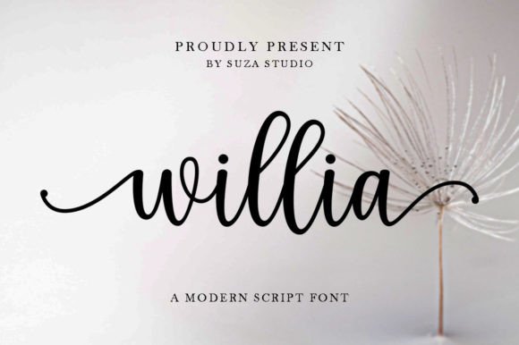Willia: A Designer’s Take on Real-World Use